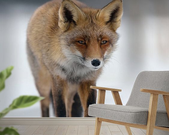 Raumvorschau