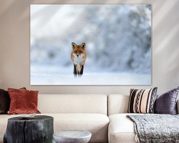 Winter sprookje... Rode vos *Vulpes vulpes* in diep besneeuwd landschap van wunderbare Erde