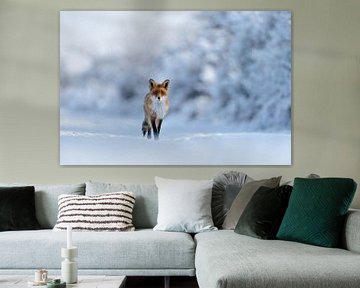Rode vos *Vulpes vulpes* loopt recht op de camera af in een diep sneeuwlandschap van wunderbare Erde