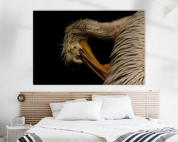 Pelikan von Gabriele Haase