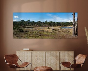 Panorama natuurlandschap Looierheide in Ottersum Nederland van Kristof Leffelaer