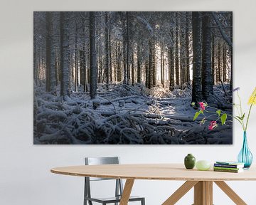 Winter in de Hoge Venen, België van Luc van der Krabben