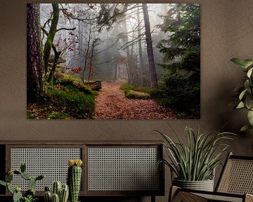 Sentier du mur des païens dans les Vosges sur Tanja Voigt