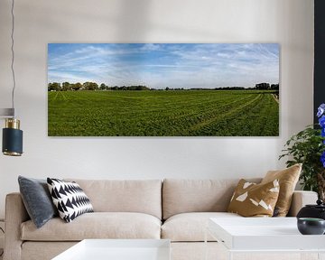 Panorama foto van een landbouwlandschap van Kristof Leffelaer