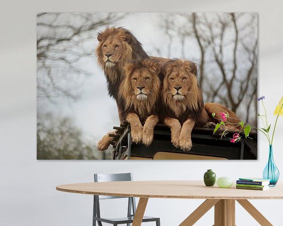 Aperçu de la chambre