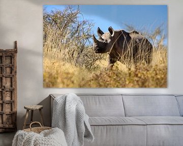Rhino in the savannah in Namibia by Roland Brack