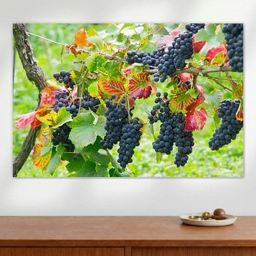 Reife Trauben im Elsass von Tanja Voigt