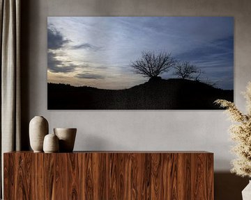 Silhouetten op Kootwijkerzand, Nederland van Imladris Images