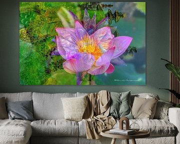 Warna Warni with lotus by Helmuth Houtermans