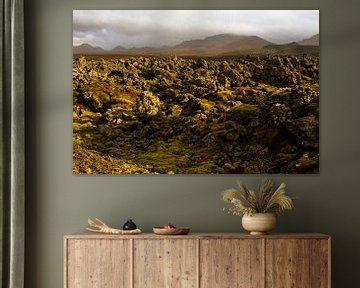 Mit Lavagestein bedeckte Landschaft in Island von Karijn | Fine art Natuur en Reis Fotografie