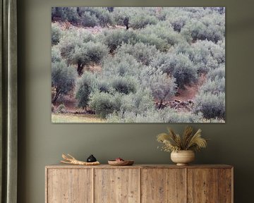 Olijfgaard Andalusië van Inge Hogenbijl