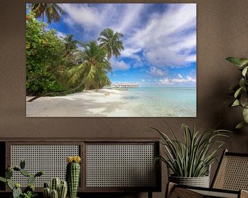 Dream beach with palm trees by Tilo Grellmann