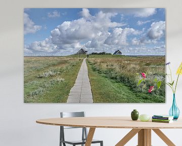 Hamburg Hallig,North Sea,North Frisia,Germany by Peter Eckert