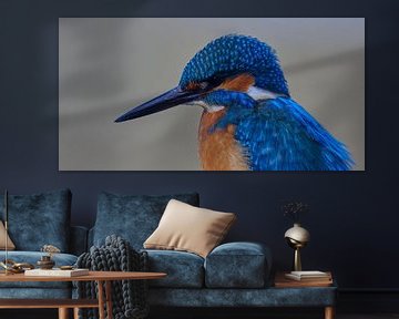 IJsvogel - Portret van een mooie ijsvogelman in panoramaformaat