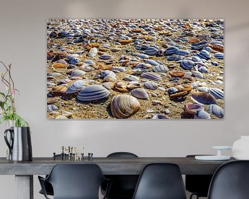 Shells North Sea beach as far as the eye can see. by John Duurkoop