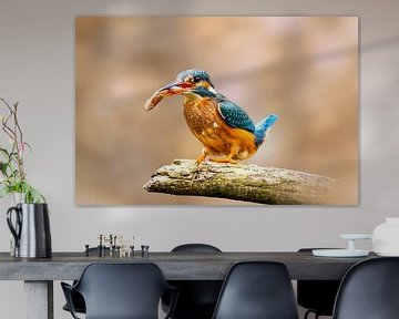 Kingfisher on branch with freshly caught fish by Gianni Argese