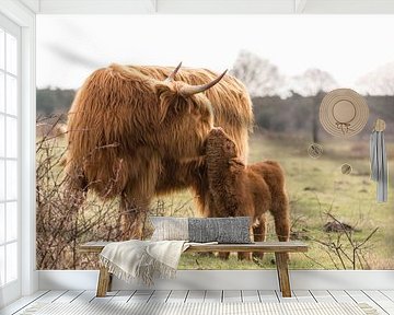 Onvoorwaardelijke liefde bij mama