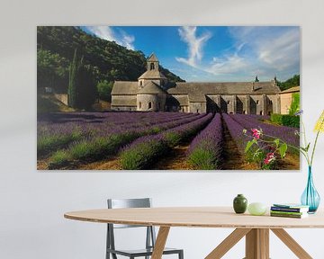 Lavender field in the Luberon by Tanja Voigt