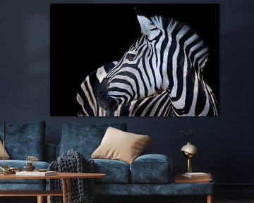 Foto Zebra met zwarte achtergrond van Marja Suur