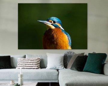 IJsvogel van Marijepicture