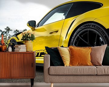 Porsche 992 GT3 RS by Bas Fransen