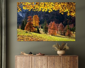 Kleurrijke herfst van Andreas Föll