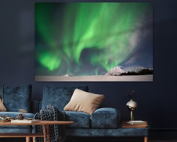 Northern Lights by Studio voor Beeld