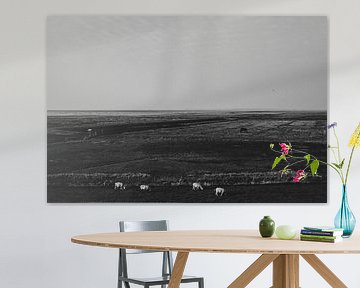 Schwarz-weiße Landschaft in Moddergat, Friesland. von Denise Tiggelman