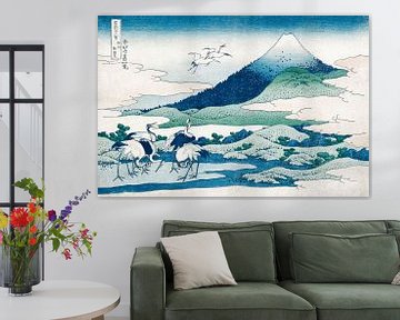 Japanse kunst ukiyo-e. Katsushika Hokusai Umezawa Manor in de provincie Sagami van Dina Dankers