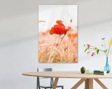 Red poppy and grain by Denise Tiggelman