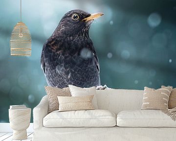 Wintergruß von einer Amsel