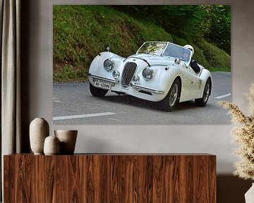 Jaguar XK 120 OTS EGGBERG CLASSIC 2019