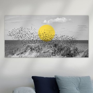 Vogelschwarm mit gelbem Kreis