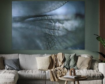 Wing of a Dragonfly in Cool Colours by Nanda Bussers