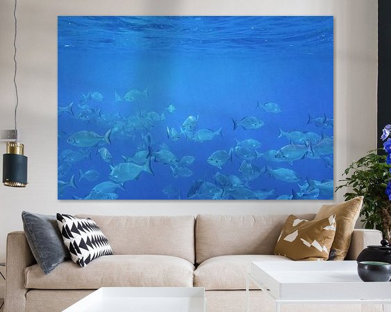 Raumvorschau