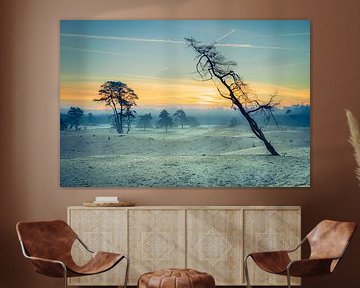 Staubige Sanddünen und Silhouetten im Naturschutzgebiet bei Sonnenaufgang von Fotografiecor .nl