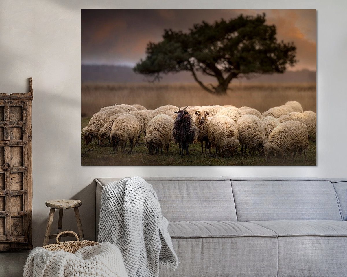 Voorbeeld van het werk in een kamer