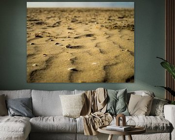Schelpen in het zand van Martijn Tilroe