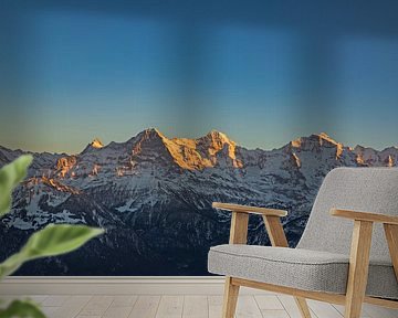 Zonsondergang en alpengloren boven de Berner Alpen van Martin Steiner