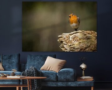 robin on stump by Esther Bax