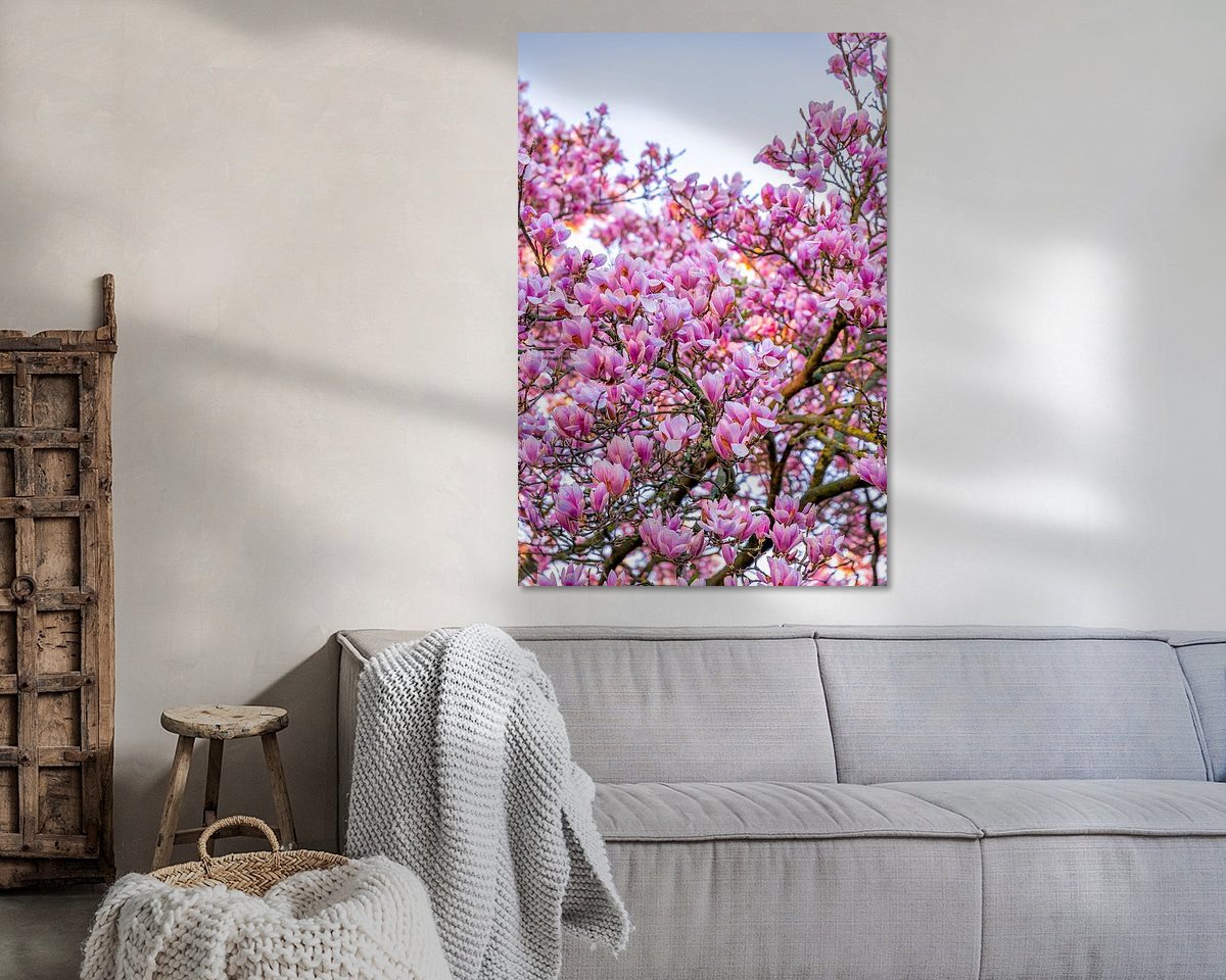 Raumvorschau