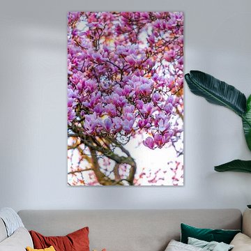 When the sun kisses the magnolias.