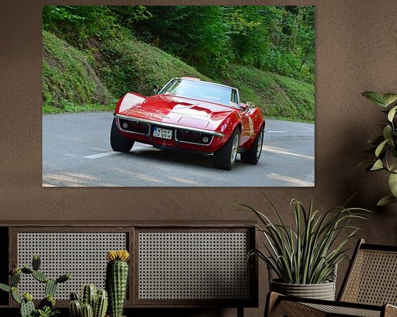 Aperçu de la chambre