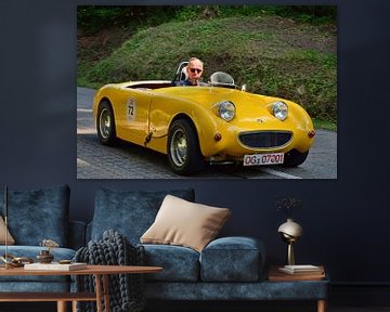 Austin Healey Sprite MK 1  Eggberg Klassik 2019 von Ingo Laue