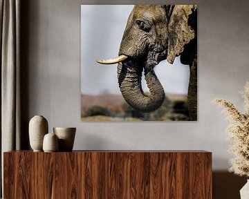 Olifant in Afrika van Omega Fotografie