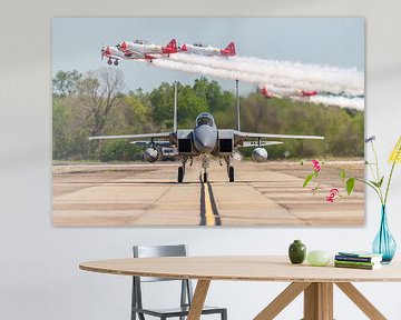 Bayou Militia McDonnell Douglas F-15C Eagle. by Jaap van den Berg