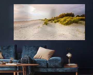 Beach dunes in the light by Ursula Reins
