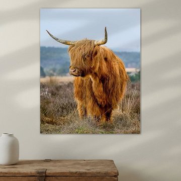 Staring in to the distance