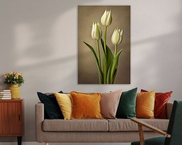 Tulipes blanches sur Imagine
