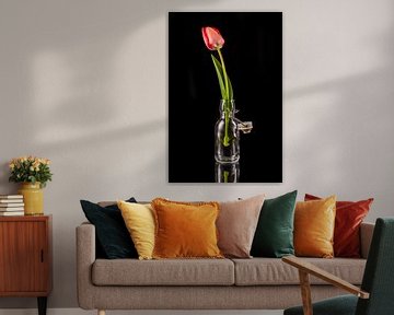 Een rode tulp in een kleine glazen fles van Photo Art Thomas Klee